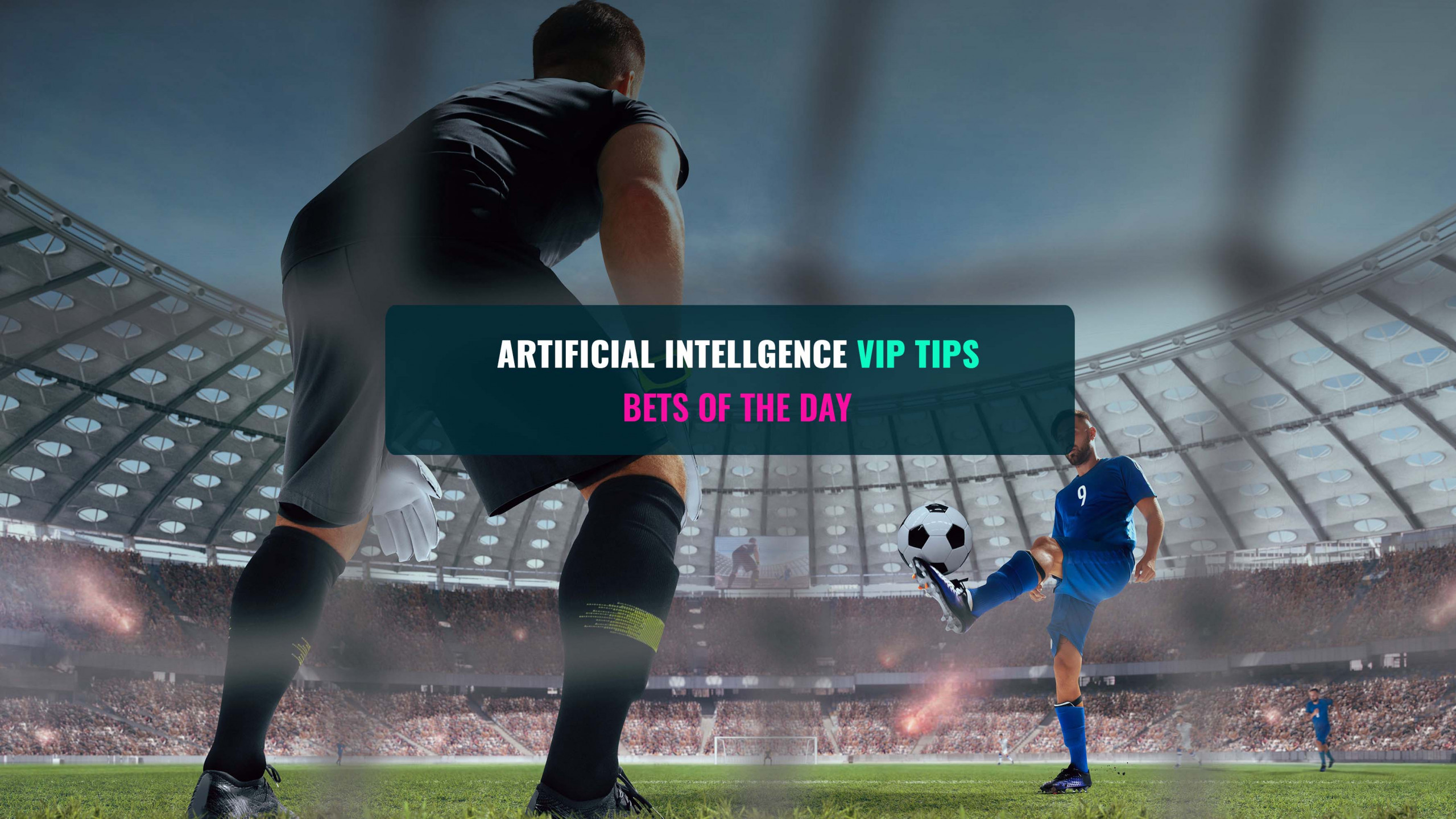 Intelligent Soccer Predictions - Goaliero